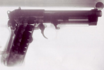 Gun