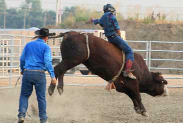 Bull rider