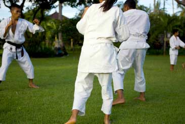 Martialarts