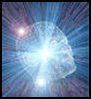 Edprogs brain