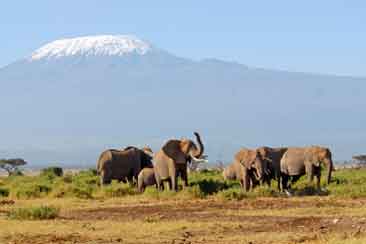 Kilimanjaro