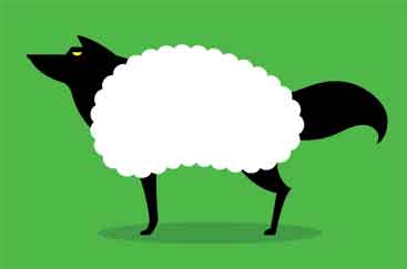 Wolf sheep