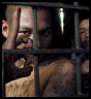 Gangs