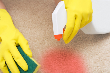 Carpetcleaning b