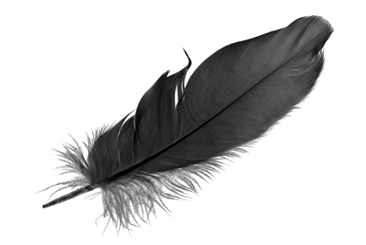 Feather