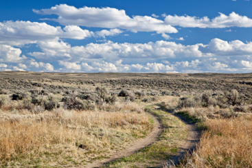 Dirt road