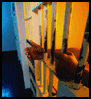 Prison bars