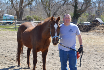 Nj doc horse scaled